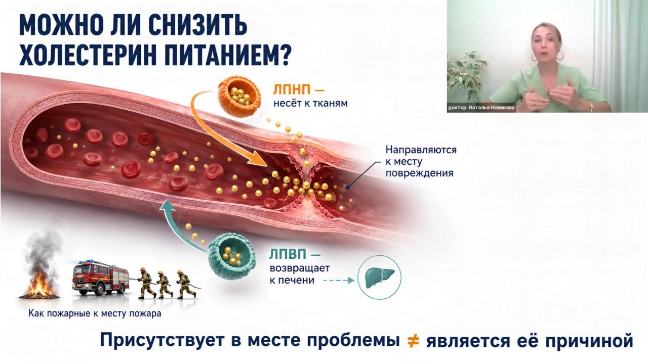 Плохой холестерин