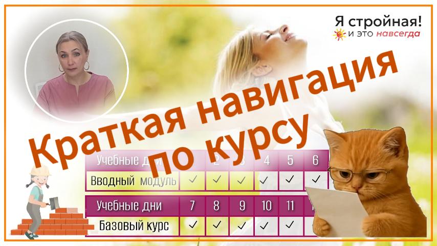 Базовый курс. Навигация